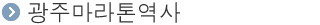 ±¤ÁÖ¸¶¶óÅæ¿ª»ç